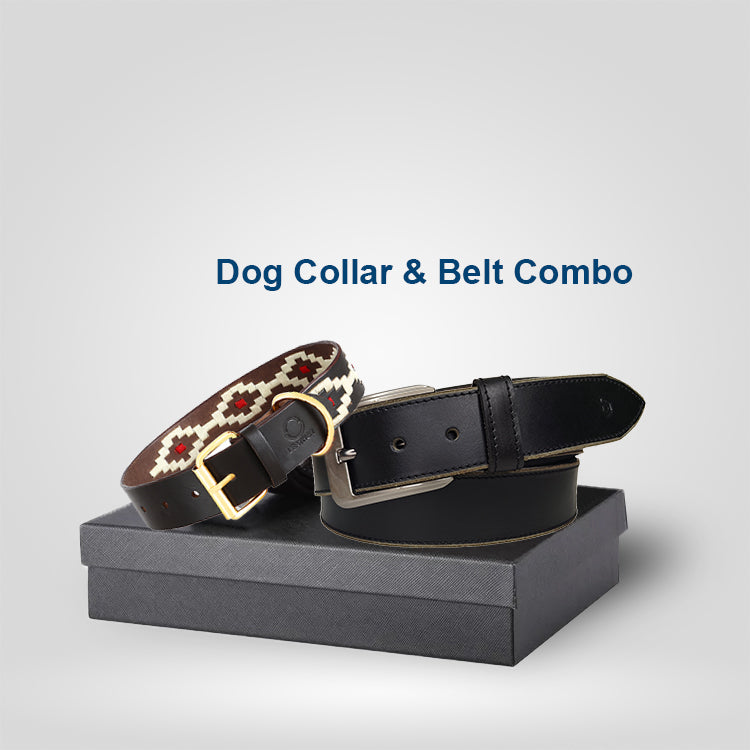 Omax Premium Combo: Genuine Leather Dog Collar & Men’s Leather Belt BCCOM04