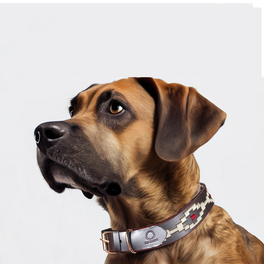 OMAX Genuine Leather Dog Collar